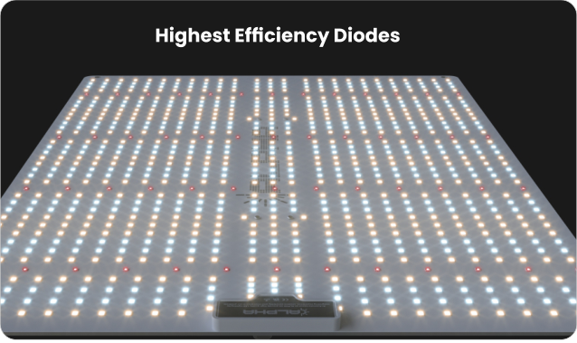 Close-up of ALPHA 320W Quantum Board LED diodes