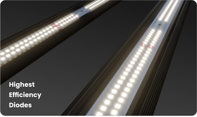 Close-up of ALPHA 360W LED LED diodes
